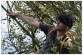 bernard_b brenne sept 2017 6
